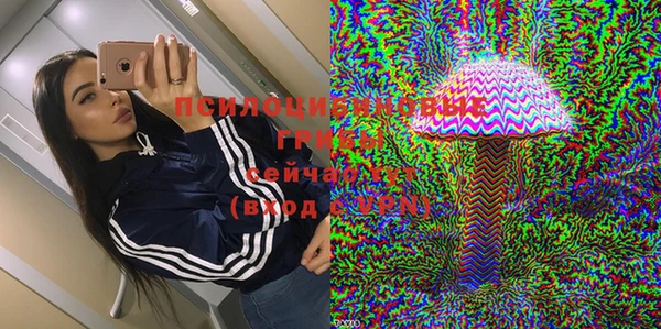 не бодяженный Арсеньев