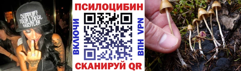 Псилоцибиновые грибы мицелий  Губкинский 
