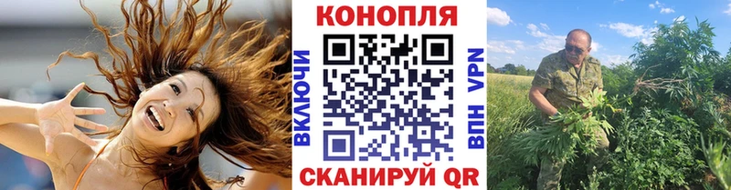 мега как войти  Губкинский  дарк нет наркотические препараты  Бошки марихуана гибрид 